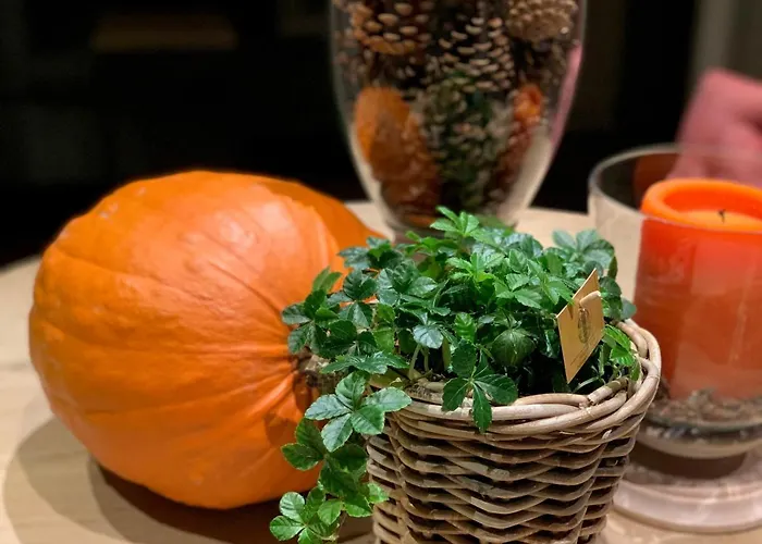 D'oude Brouwerij Bed & Breakfast 4*